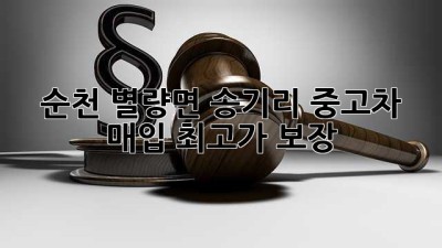 순천 별량면 송기리 중고차 매입, 최고가 보장!